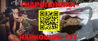 амф Гусь-Хрустальный