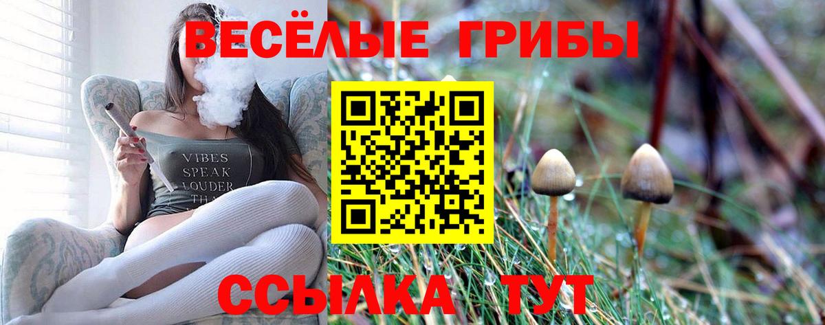 Псилоцибиновые грибы Psilocybe Малоярославец